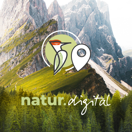 Natur Digital